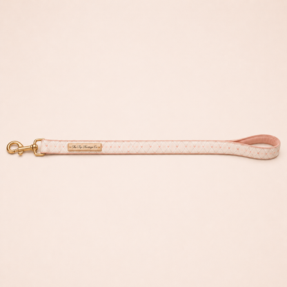 Paris Dog Leash - Blush Gingham