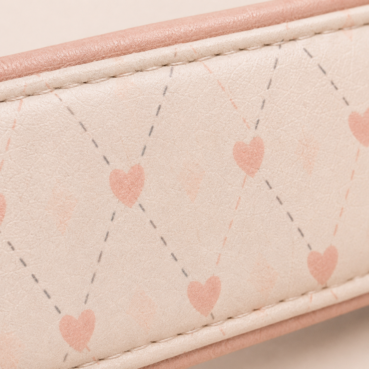 Paris Dog Leash - Blush Gingham
