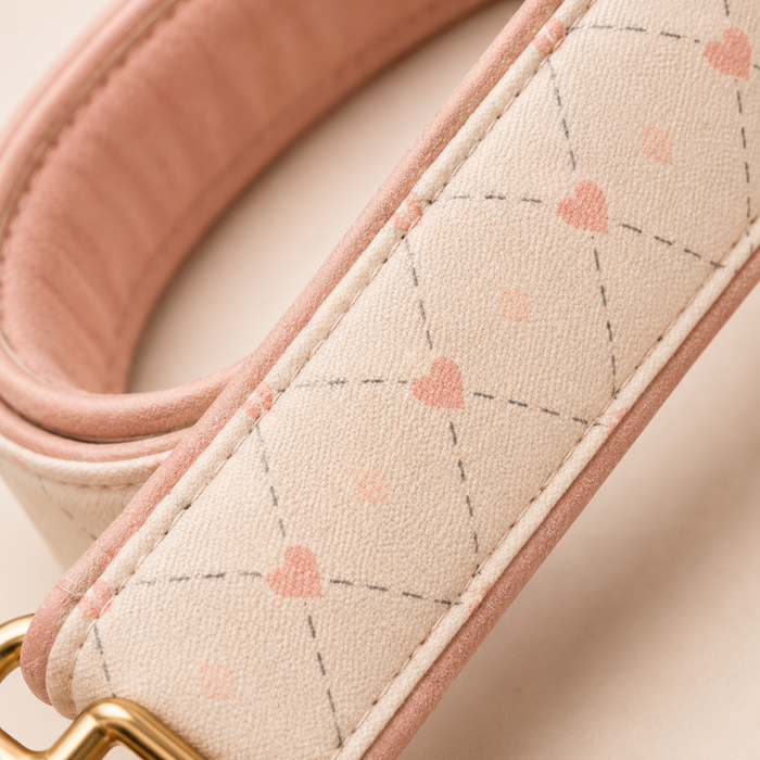 Paris Dog Leash - Blush Gingham