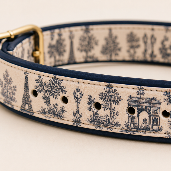 Paris Dog Collar - Paris Toile