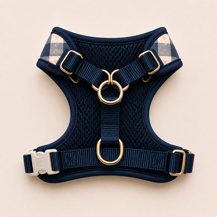 Paris Dog Harness - Gingham Hearts
