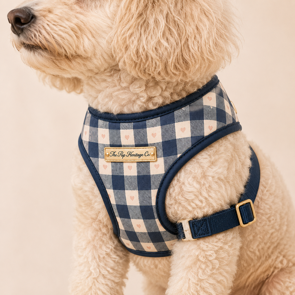 Paris Dog Harness - Gingham Hearts